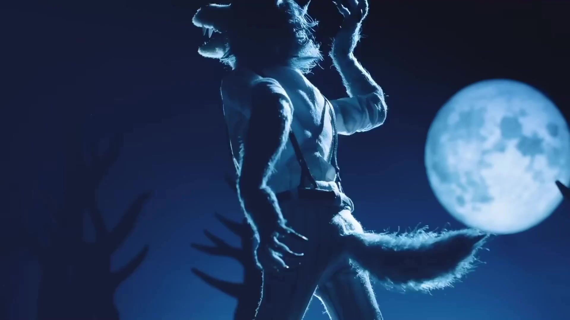 [Tsukyio Editing Resources] Beastars OP Precut_12-10x-RIFE-RIFE4.0-239.7602fps (tsukyioxyz).mp4